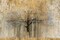 Open Arms Gold Crop Poster Print by Avery Tillmon - Item # VARPDX28277